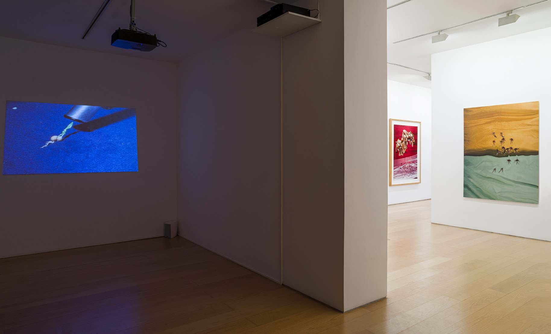 Boyd Webb | Exhibition 2021 | Athens | Installation Views