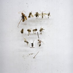 Untitled, 2009/2016, Archival Inkjet print, Ed. of 5 & 2 AP, 50 x 48 cm