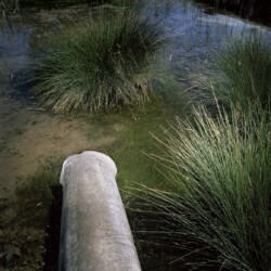 Untitled, 2009/2016, Archival Inkjet print, Ed. of 5 & 2 AP, 50 x 48 cm