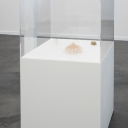 Zwei Kuppeln + kleine konkave Form, 2016, plant stalks 9,5 x 19 x 19 cm, 6,5 x 7 x 7 cm, 3,5 x 7 x 5,5 cm, 5 on pedestal with acrylic glass vitrin 130 x 90 x 70 cm