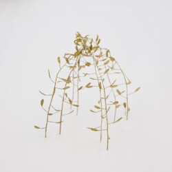 Zwei Kuppeln + kleine konkave Form (detail), 2016, plant stalks 6,5 x 7 x 7 cm
