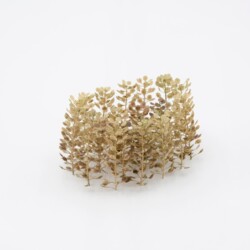 Zwei Kuppeln + kleine konkave Form (detail), 2016, plant stalks 3,5 x 7 x 5,5 cm, 