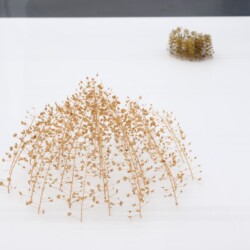 Zwei Kuppeln + kleine konkave Form (detail), 2016, plant stalks 9,5 x 19 x 19 cm, 