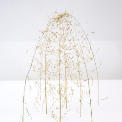 Große Kuppel, 2016, 35 x 27 x 28 cm on pedestal with acrylic glass vitrin 130 x 70 x 70 cm