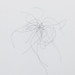Kleines Haarnetz, 2016, Horse hair, needles 28 x 27 x 17 cm