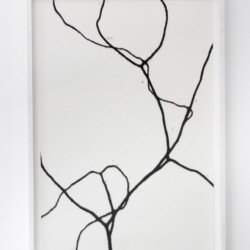 Untitled, 2015, oil pastel on paper 113 x 77 cm