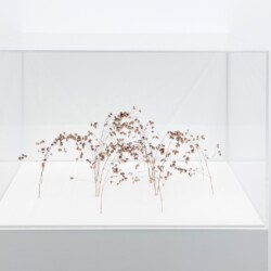 Bogenform, 2015, grass stalks 12,5 x 27 x 27 cm