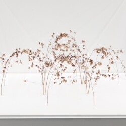 Bogenform (detail), 2015, grass stalks 12,5 x 27 x 27 cm