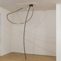 Calla Lily, 2016, Bronze, brass, glass, Calla Lily flower 350 x 210 x 160 cm