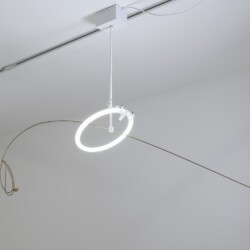 Il Suono dell'Aqua, 2016, Neon, iron, brass, maple seed 125 x 170 x 40 cm