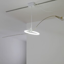 Il Suono dell'Aqua, 2016, Neon, iron, brass, maple seed 100 x 220 x 40 cm