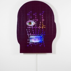P_oS, 2015, Chameleon Polychromed aluminum, LCD screen, media player, sound Unique 128 x 97 x 8 cm