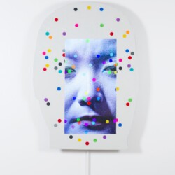 XiP, 2015, Resin coated acrylic, LCD screen, media player, sound Unique 134,5 x 96 x 8 cm