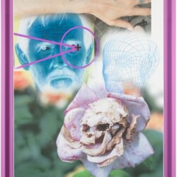 Fleur-de-list, 2015, Pigment print and colour pencil on bond paper Unique Framed: 112 x 88 x 5 cm