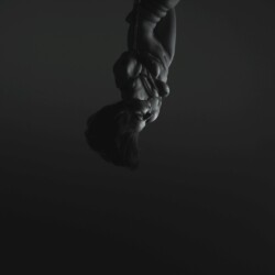 Lady Gaga: Flying (Long Form), 2013, High Definition Video, 65"' Plasma Monitor/digital player/speaker Unique edition