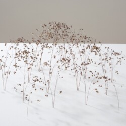 Bogenform (Arch Form), 2014, Grass stalks 19 x 50 x 43 cm