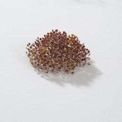 Kleines rotes Hexagon (Little red Hexagon), 2009, Plant stalks 4 x 8 x 7 cm