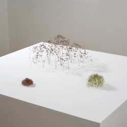 Bogenform (Arch Form), 2014, Grass stalks,19 x 50 x 43 cm Kleine Kuppel (Little dome), 2012 Plant stalks, 6 x 12 x 11 cm  Kleines rotes Hexagon (Little red Hexagon), 2009 Plant stalks,4 x 8 x 7 cm