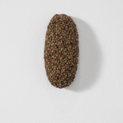 Klettenoval (Burr Oval), 2009, Plant seeds, dog hair 12 x 7 x 6 cm