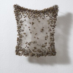 Klettenvlies (Burr fleece), 2010, Dog hair, burrs 19 x 17 x 1