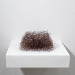 Durchlässiger Kubus (Permeable Cube), 2014, Tree blossoms 18 x 32 x 30 cm
