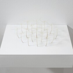 Kleine Ansammlung (Little Agglomeration), 2014, Airborne seeds 6 x 24 x 21 cm On pedestal: 7 x 30 x 24 cm