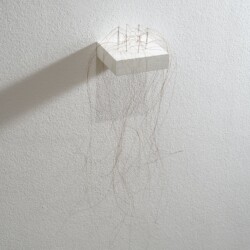 Kleine Haararbeit (Little Hair work), 2013, Horse hair, needles ca. 46 x 23 x 18 cm On pedestal 1,8 x 12 x 10 cm
