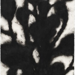Untitled, 2013, Oil pastel on paper 23,5 x 20 cm