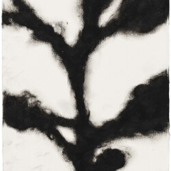 Untitled, 2013, Oil pastel on paper 20 x 16 cm