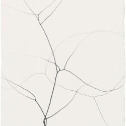 Untitled, 2014, Graphite on paper 27 x 20 cm