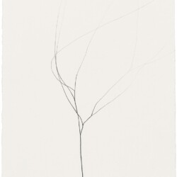 Untitled, 2014, Graphite on paper 27 x 20 cm