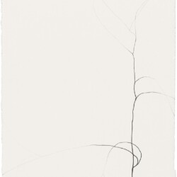 Untitled, 2014, Graphite on paper 27 x 20 cm