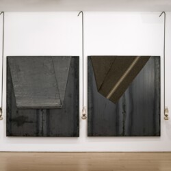Untitled, 1994, Mixed media 2 x (200 x 180 x 30 cm)- DImensions variable