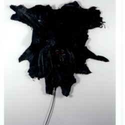 "Autoritratto", 1972, Skins, electric resister 120 x 140 cm