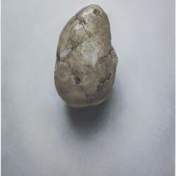 ZHU YU, "Pebble no 11", 2010, Oil on canvas 100 x 80 cm