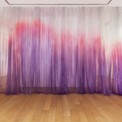 "Untitled", 2014, Painted organza silk 350 x 600 cm