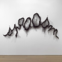 "Spaasm", 2010, Metal wire, nets Variable dimensions