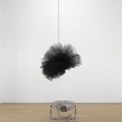 "Le Tutu Dansant", 2013, Black tutu, fan, string Variable dimensions