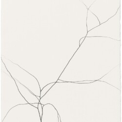 Untitled, 2014, Graphite on paper 27 x 20 cm