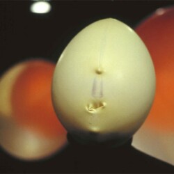 Looking for a Place # 56, 2002, Colour photograph 125 x 188 cm