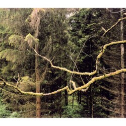 Untitled, 2002, Chromogene print Ed 1/3 192 x 262 cm