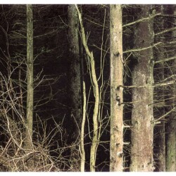 Untitled, 2002, Chromogene print Ed. 1/3 192 x 240 cm