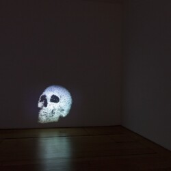 "Vanitas", 2013, 1 channel data projection, computer code 60 x 45 cm