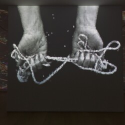 "Sub Rosa", 2011, 1 channel data projection, computer code Variable dimensions