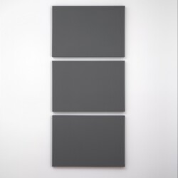 Three Rectangles, 2009,  Acrylic on canvas in3 parts Overall dimensions: 198 x 90 cm (3 parts each 63 x 90 cm)