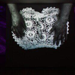 Sub Rosa, 2013, One channel data projection, computer code Ed. 5 & 2 AP Variable dimensions