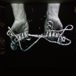 Sub Rosa, 2013, One channel data projection, computer code Ed. 5 & 2 AP Variable dimensions