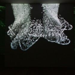 Sub Rosa, 2013, One channel data projection, computer code Ed. 5 & 2 AP Variable dimensions