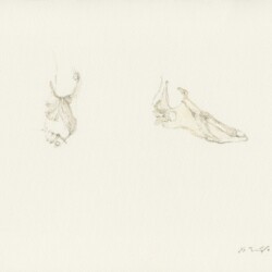 "Rhodopis-Atis", 2018, Watercolour on paper 21 x 29.5 cm