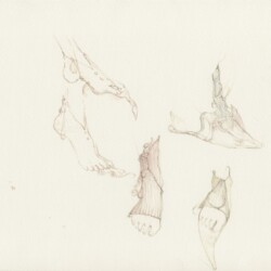 "Les Claires Danseuses", 2018, Watercolour on paper 21 x 29.5 cm